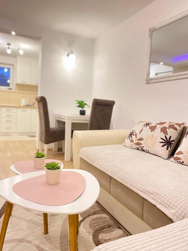 Apartman Mina Mataruska Banja 외부 사진