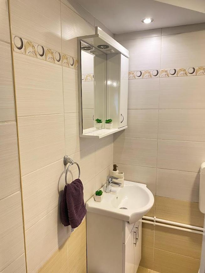 Apartman Mina Mataruska Banja 외부 사진