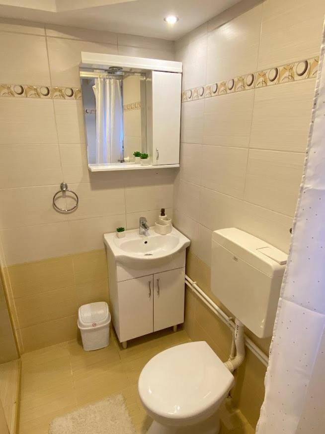 Apartman Mina Mataruska Banja 외부 사진